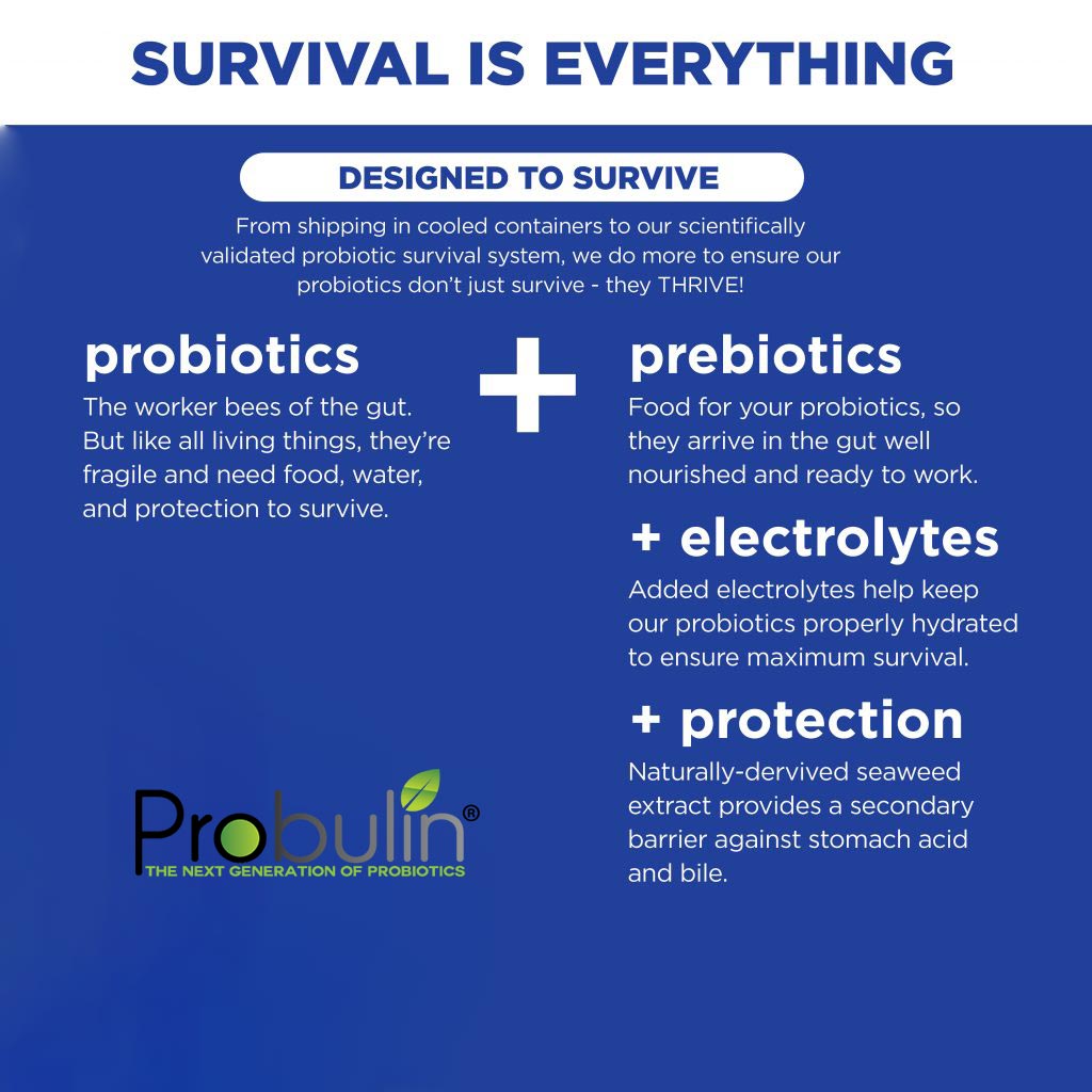 Probulin Daily Care Probiotic Capsules For Digestive Health, Pack of 30's - Easy Pharmacy LLC