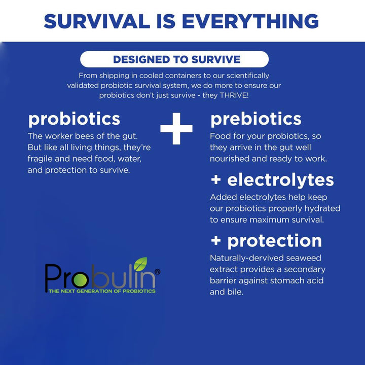 Probulin Daily Care Probiotic Capsules For Digestive Health, Pack of 30's - Easy Pharmacy LLC