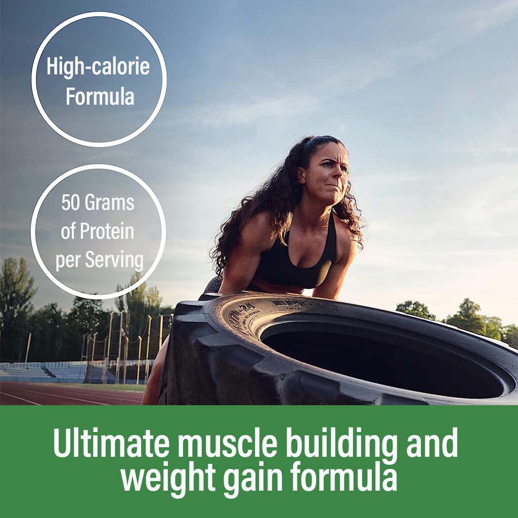 Optimum Nutrition Serious Mass Powder Banana 6lb - Easy Pharmacy LLC