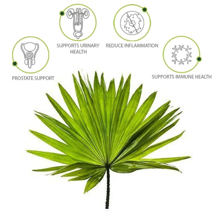 Nature's Answer Saw Palmetto 690mg Vegan Capsules For Prostate Health, Pack of 120's - Easy Pharmacy LLC