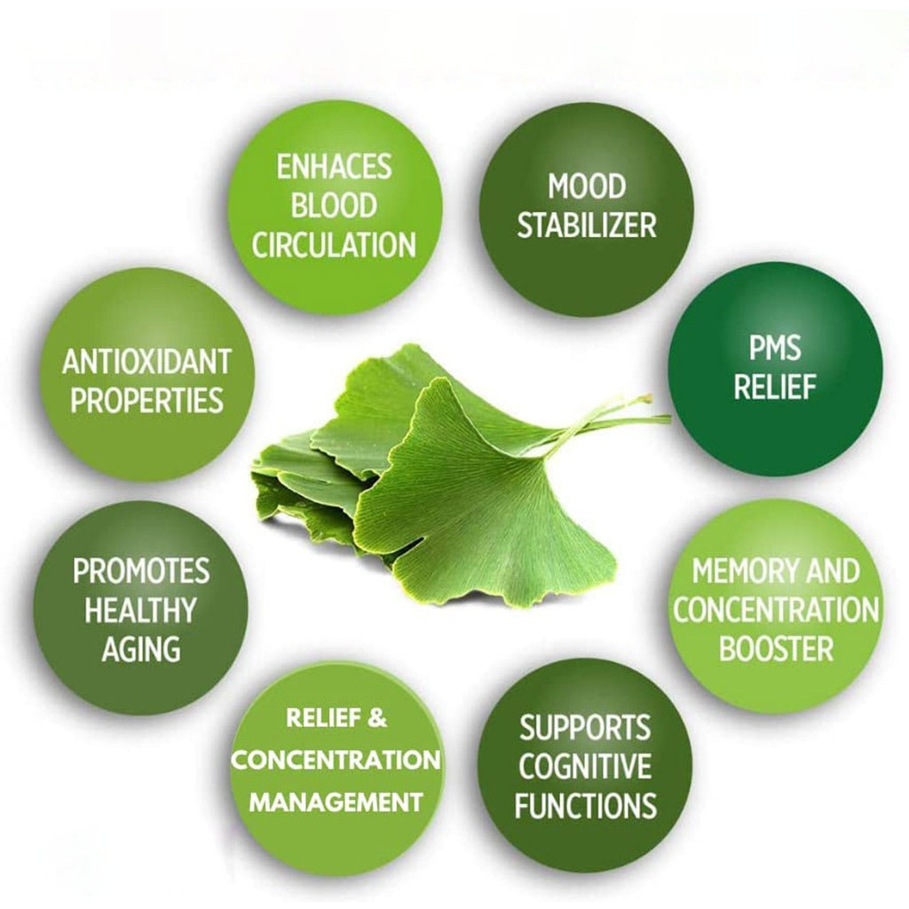 Nature's Answer Ginkgo Biloba 80mg Standardized Herbal Extract Vegan Capsules For Cognitive Support, Pack of 60's - Easy Pharmacy LLC