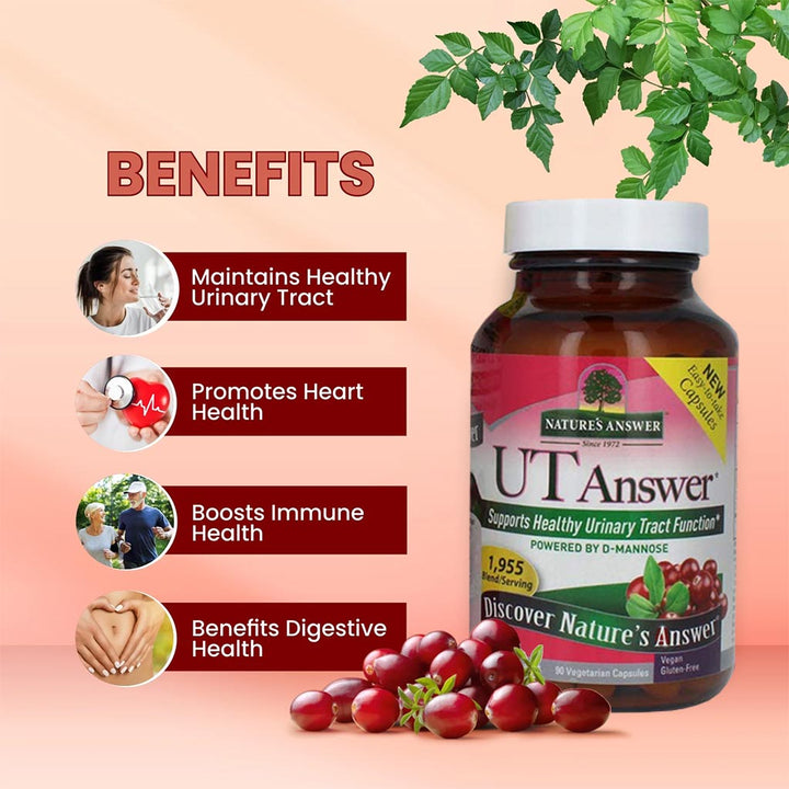Nature's Answer UT Answer 1955mg Vegan Capsules For Urinary Tract Health, Pack of 90's - Easy Pharmacy LLC