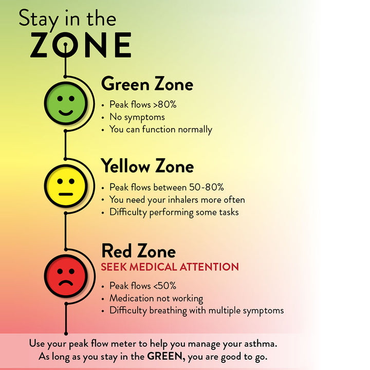 Rossmax Adult's Peak Flow Meter For Asthma Management - Easy Pharmacy LLC
