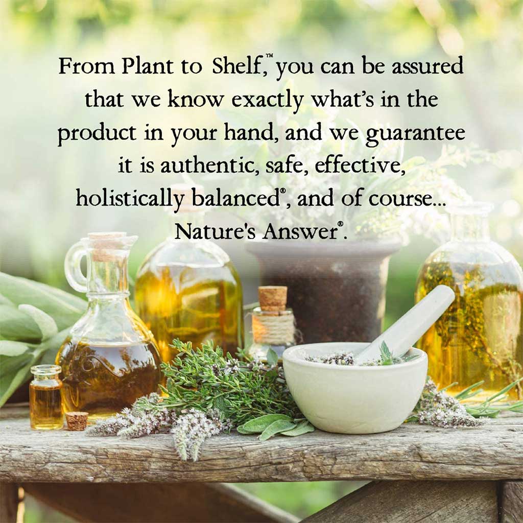 Nature's Answer Echinacea & Goldenseal 1000mg Drops For Immunity Support 30ml - Easy Pharmacy LLC