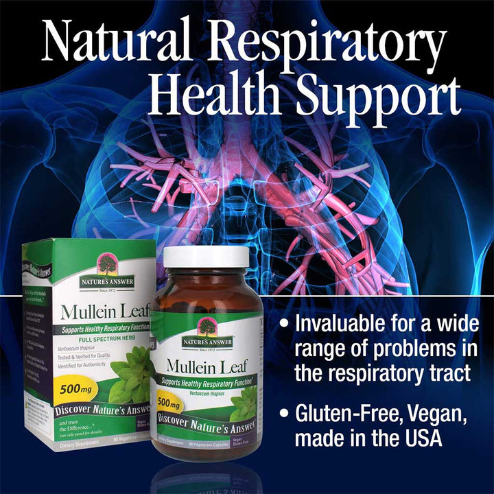 Nature's Answer Mullein Leaf 500mg Vegan Capsules For Respiratory Health, Pack of 90's - Easy Pharmacy LLC
