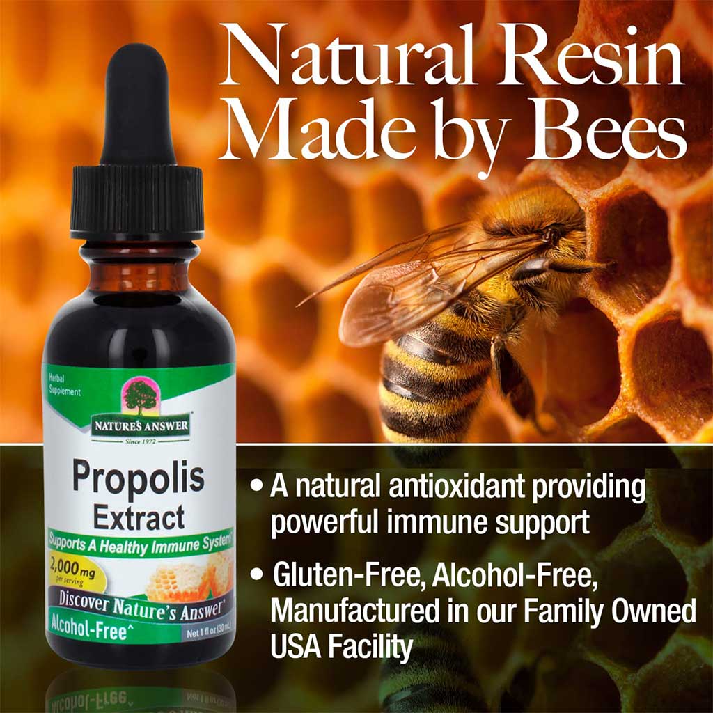 Nature's Answer Propolis 2000mg Vegetarian Drops For Immunity Support 30ml - Easy Pharmacy LLC