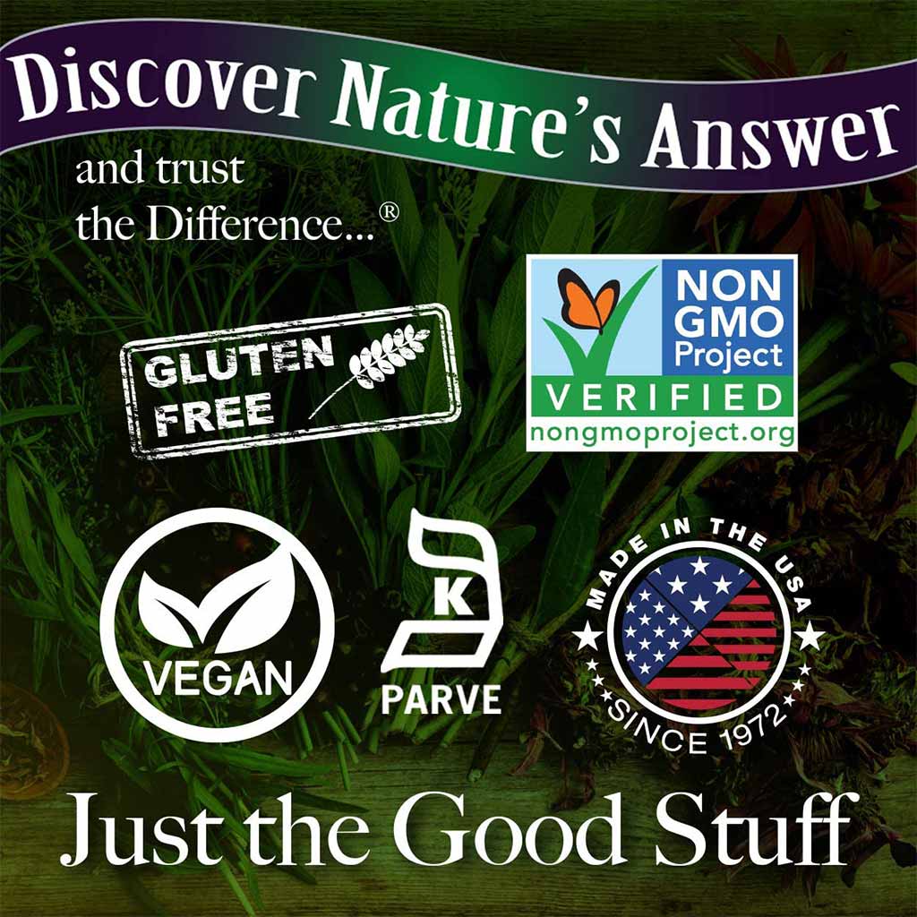 Nature's Answer Cognimax Vegetarian Capsules For Memory & Concentration, Pack of 60's - Easy Pharmacy LLC