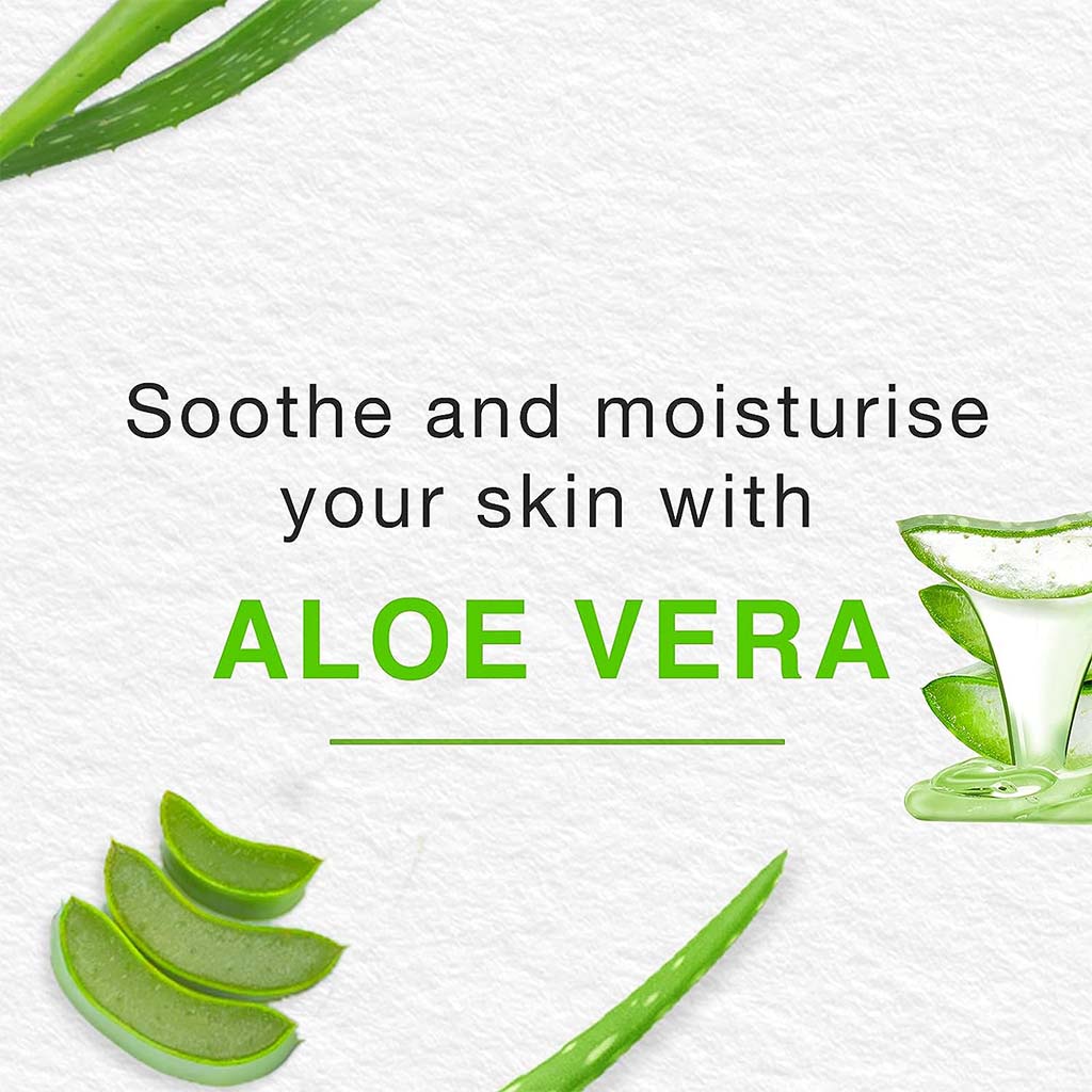 Himalaya Pure Hands Tulsi & Aloe Vera Anti-Bacterial Hand Wash 250ml - Easy Pharmacy LLC
