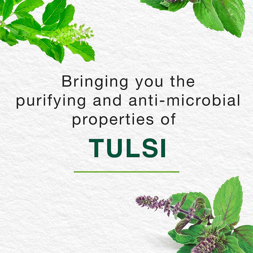 Himalaya Pure Hands Tulsi & Aloe Vera Anti-Bacterial Hand Wash 250ml - Easy Pharmacy LLC