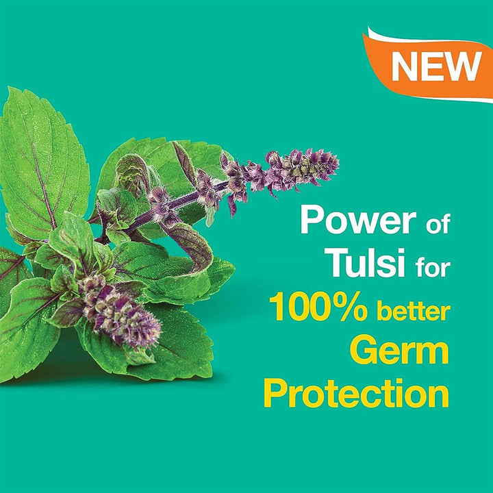 Himalaya Pure Hands Tulsi & Aloe Vera Anti-Bacterial Hand Wash 250ml - Easy Pharmacy LLC