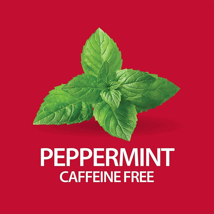 21st Century Herbal Slimming Tea Bag, Peppermint, Pack of 24's - Easy Pharmacy LLC