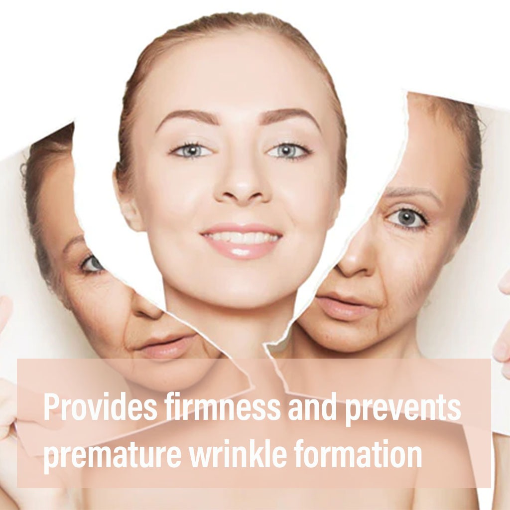 Annemarie Borlind Pura Soft Q10 Anti-Wrinkle Cream With Coenzyme Q10 & Vitamin E 50ml - Easy Pharmacy LLC