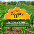 Country Life Core Daily 1 Multivitamin Supplement Tablets For Men, Pack of 60's