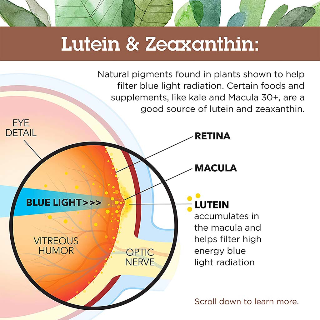 Country Life Lutein 20 mg & Zeaxanthin Softgel For Eye Health, Pack of 60's - Easy Pharmacy LLC