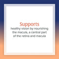Country Life Lutein 20 mg & Zeaxanthin Softgel For Eye Health, Pack of 60's