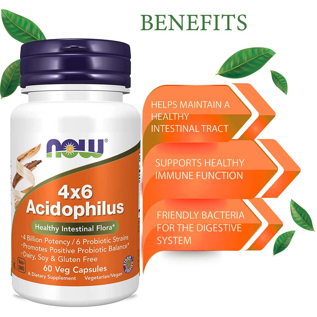 Now Acidophilus 4 x 6 Probiotic Capsules For Healthy Intestinal Flora, Pack of 60's - Easy Pharmacy LLC