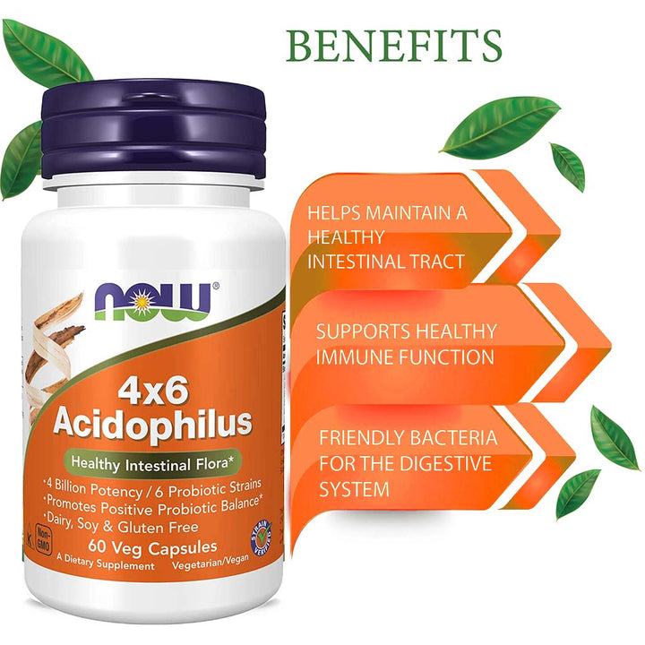 Now Acidophilus 4 x 6 Probiotic Capsules For Healthy Intestinal Flora, Pack of 60's - Easy Pharmacy LLC