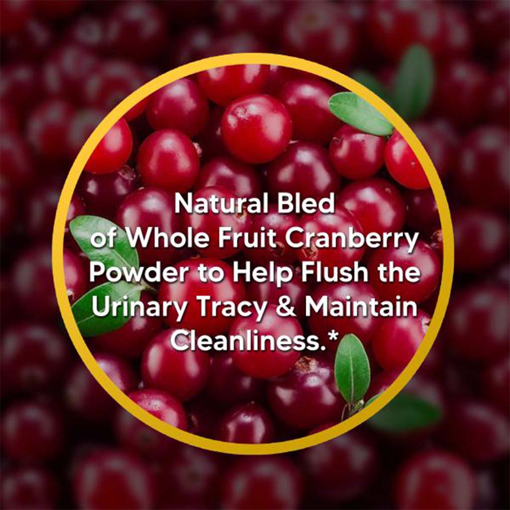 Now Cranberry Capsules With Vitamin C For Healthy Urinary Health, Pack of 100's - Easy Pharmacy LLC