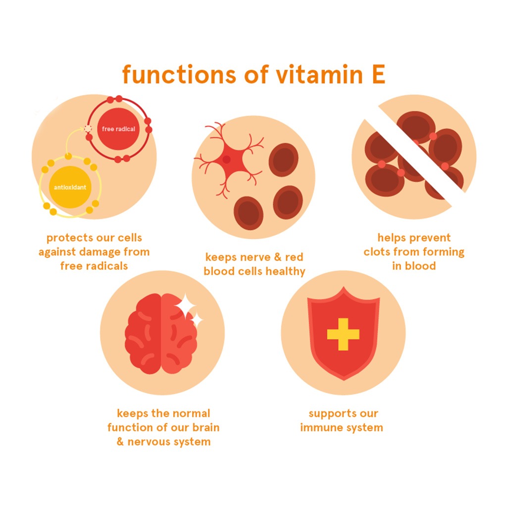 Now E-400 Vitamin E 400IU Antioxidant Softgel For Immune & Heart Support, Pack of 30's - Easy Pharmacy LLC