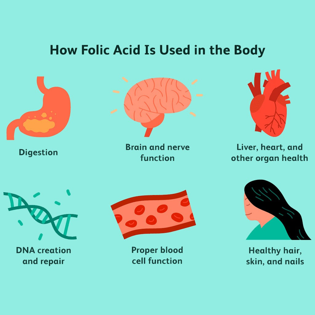 Now Folic Acid 800 mcg with Vitamin B12 Tablets For Healthy Heart, Pack of 250's - Easy Pharmacy LLC