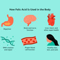 Now Folic Acid 800 mcg with Vitamin B12 Tablets For Healthy Heart, Pack of 250's
