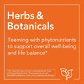 Now Ginseng and Royal Jelly Adaptogenic Capsules With Licorice For Wellness Support, Pack of 90's