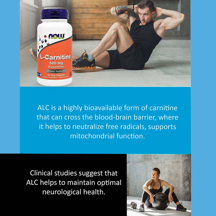 Now L-Carnitine 500mg Vegetarian Capsules For Fitness Support, Pack of 60's - Easy Pharmacy LLC