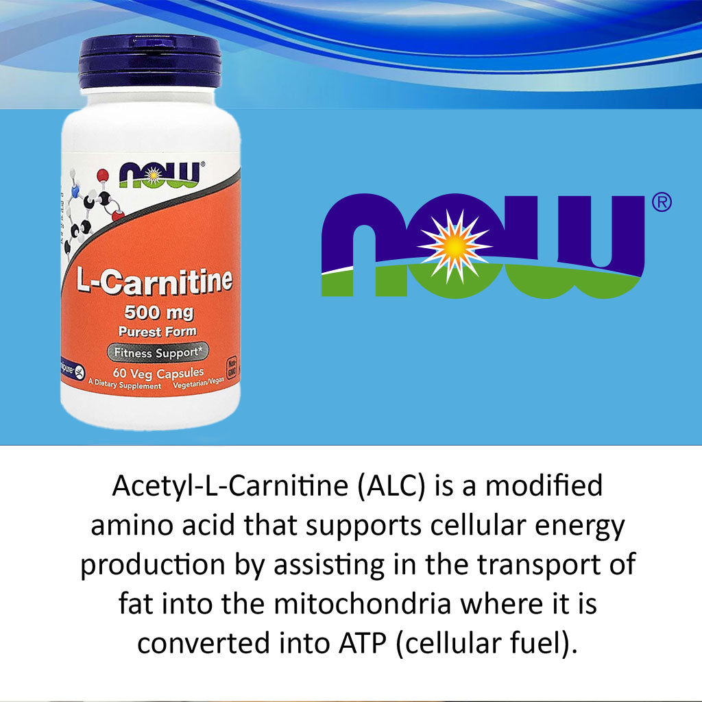 Now L-Carnitine 500mg Vegetarian Capsules For Fitness Support, Pack of 60's - Easy Pharmacy LLC