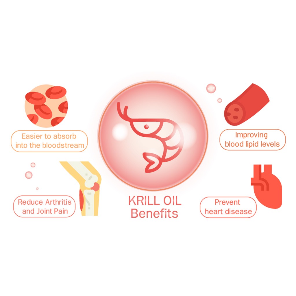 Now Neptune Krill Oil 500mg Softgels For Cardiovascular Support, Pack of 60's - Easy Pharmacy LLC