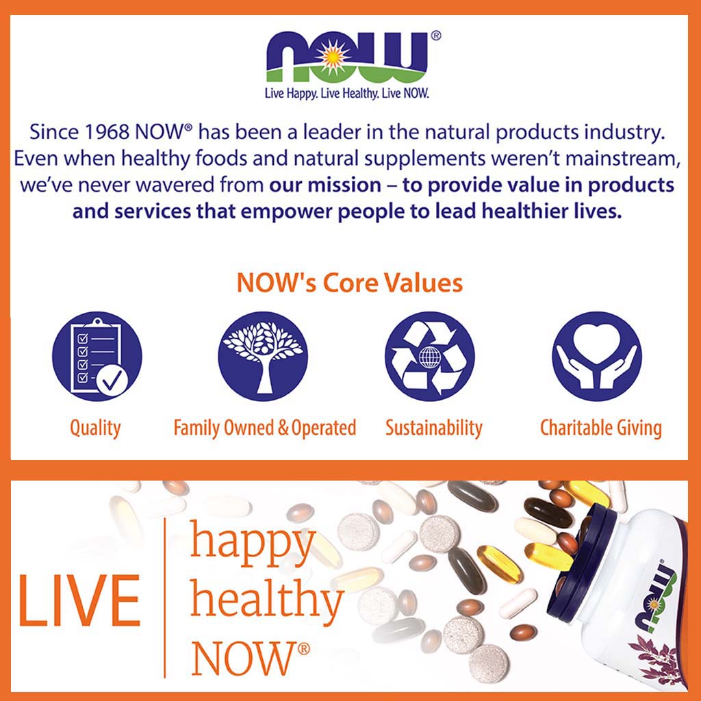 Now Neptune Krill Oil 500mg Softgels For Cardiovascular Support, Pack of 60's - Easy Pharmacy LLC