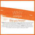 Now Omega 3 6 9 Flax Seed, Evening Primrose, Canola, Black Currant & Pumpkin Seed Oils 1000mg Softgels, Pack of 100's