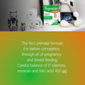 Vitabiotics Pregnacare Original Pregnancy Supplement Tablets With Folic Acid and Iron Pack of 30 Tablets