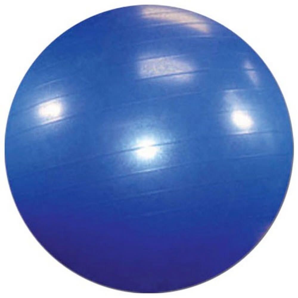 Sissel Exercise Ball Blue 55 cm - Easy Pharmacy LLC