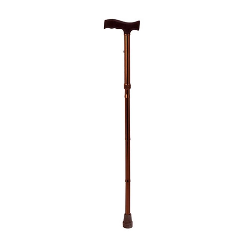Dayang Walking Stick DY5927LB - Easy Pharmacy LLC