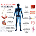 21st Century Calcium Plus Multimineral And Vitamin D Tablets For Bones And Teeth 120 Tablets