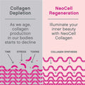 NeoCell Collagen Chews, Beauty Bursts For Skin, Hair And Nails, Fruit Punch Soft Chews, Pack of 60's