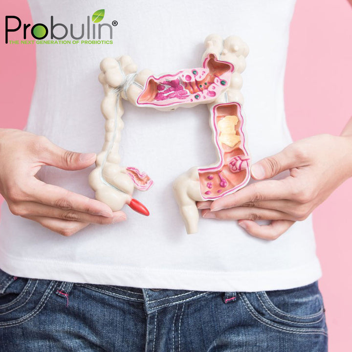 Probulin Colon Support Capsules, Pack of 30's - Easy Pharmacy LLC