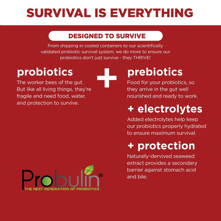 Probulin Colon Support Capsules, Pack of 30's - Easy Pharmacy LLC