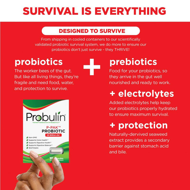 Probulin P-Pack Probiotic Capsules For Colon & Digestive Health, Pack of 10's - Easy Pharmacy LLC