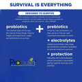 Probulin Daily Care Probiotic Capsules For Digestive Health, Pack of 30's