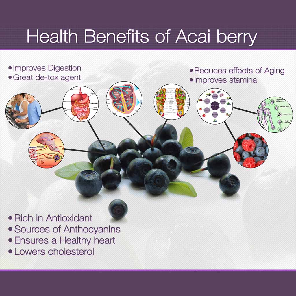 Marnys Acai Juice Body Tonic With Antioxidant And Antiaging Support 500ml - Easy Pharmacy LLC