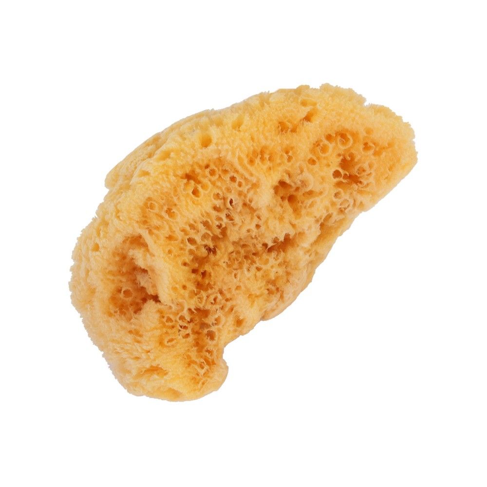 Bass Shower Sea Sponge L 1139 - Easy Pharmacy LLC