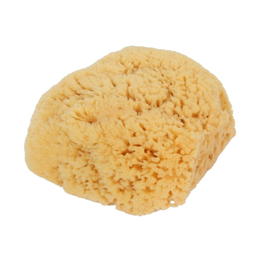 Bass Shower Sea Sponge L 1139 - Easy Pharmacy LLC