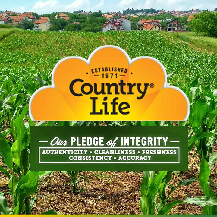 Country Life Max-Amino With Vitamin B6 Vegetarian Capsules For Muscle Recovery, Pack of 90's - Easy Pharmacy LLC