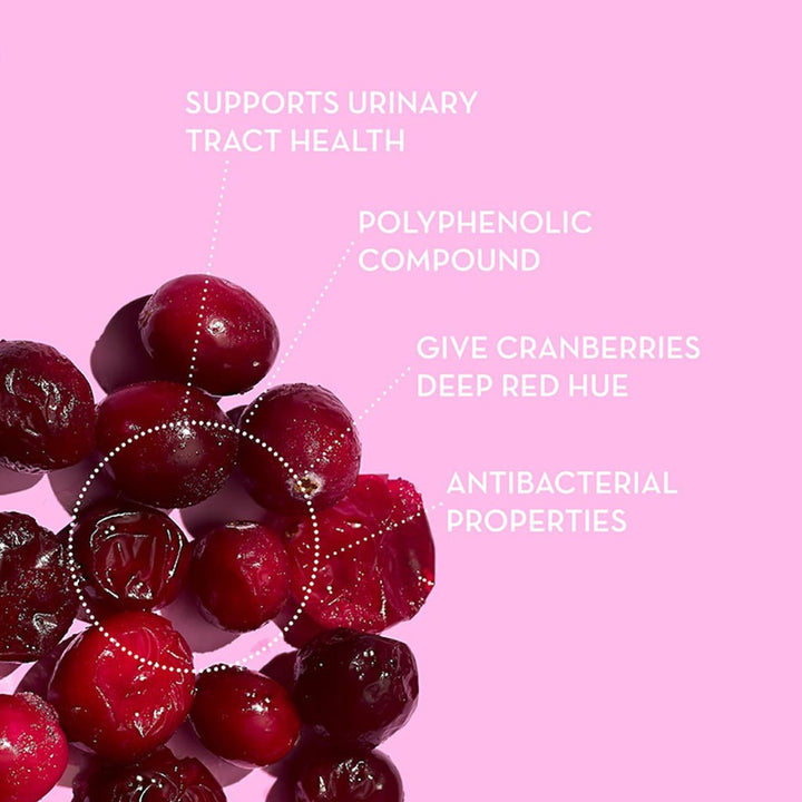 Nature's Answer Cranberry 800mg Vegan Capsules For Urinary Tract Health, Pack of 90's - Easy Pharmacy LLC