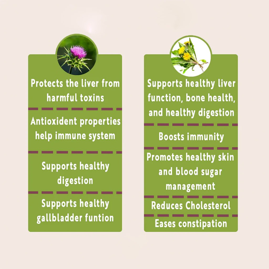 Nature's Answer Liver Support 1500mg Vegetarian Capsules With Silymarin, Pack of 90's - Easy Pharmacy LLC
