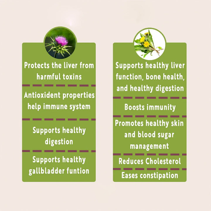 Nature's Answer Liver Support 1500mg Vegetarian Capsules With Silymarin, Pack of 90's - Easy Pharmacy LLC