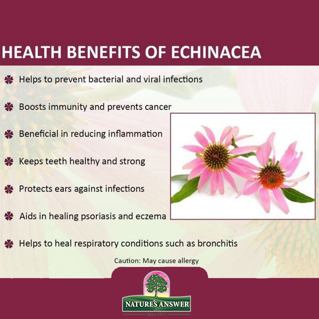 Nature's Answer Echinacea Herb 1200 mg Vegan Capsules For Antioxidant & Immunity Boost, Pack of 90's - Easy Pharmacy LLC
