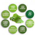 Nature’s Answer Ginkgo Biloba 80 mg Standardized Herbal Extract – 60 Vegan Capsules