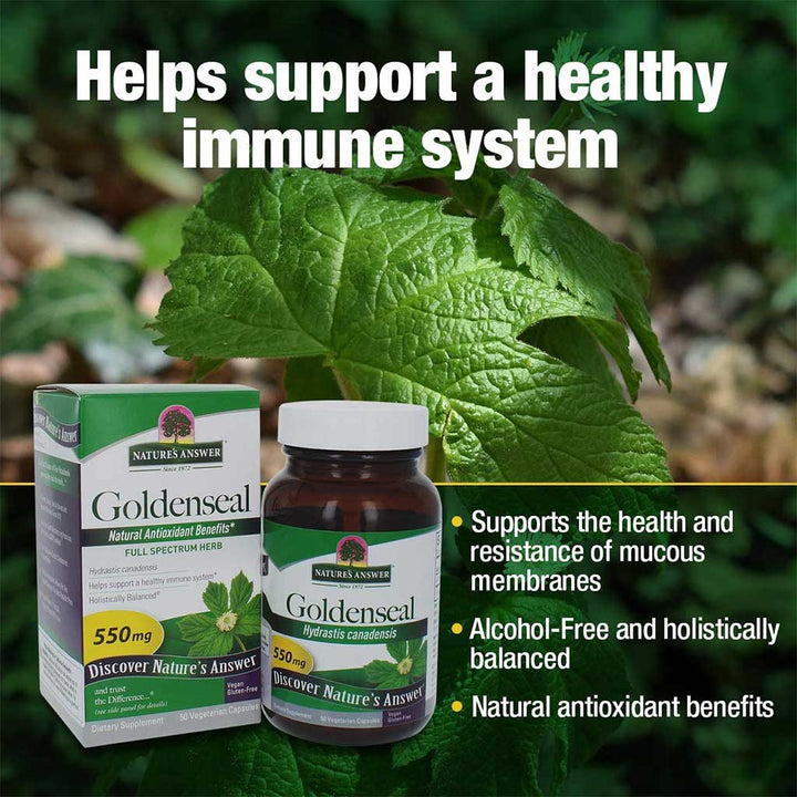 Nature's Answer Goldenseal 550 mg Vegetarian Capsules 50's - Easy Pharmacy LLC